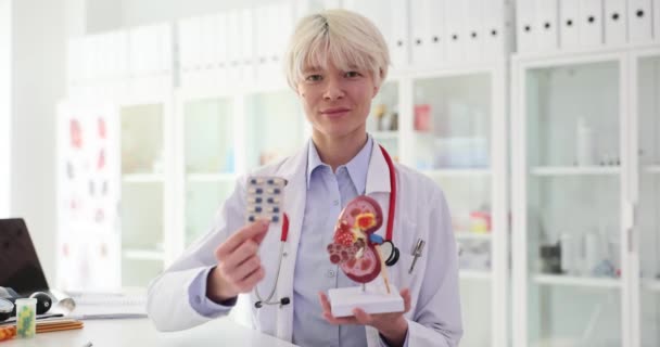 Der Nephrologe Hält Der Klinik Ein Anatomisches Modell Der Menschlichen — Stockvideo