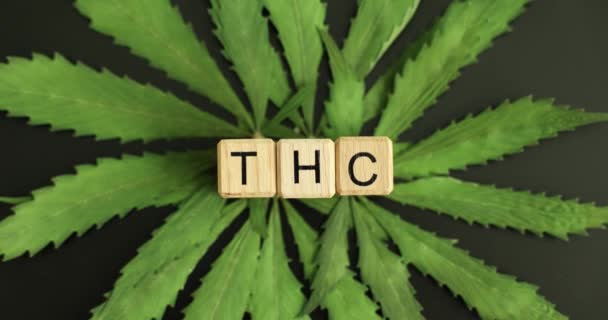 Medicinsk Marijuana Bakgrund Med Hampa Blad Och Thc Kuber Tetrahydrokannabinol — Stockvideo