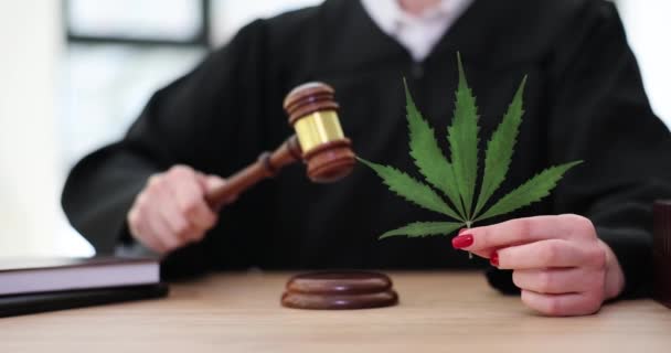 Hampa Marijuana Och Hampa Produkter Vid Domstolen Förhandling Med Domare — Stockvideo