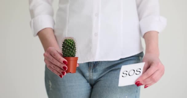 Cactus Sullo Sfondo Organi Interni Simboleggia Dolori Femminili Prova Sos — Video Stock