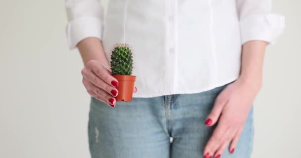 Corpul Feminin Cactusul Fundalul Organelor Interne Simbolizează Durerile Feminine Uterul — Videoclip de stoc