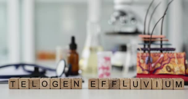 Telogen Alopécie Détermination Prévention Des Causes Structure Peau Des Cheveux — Video