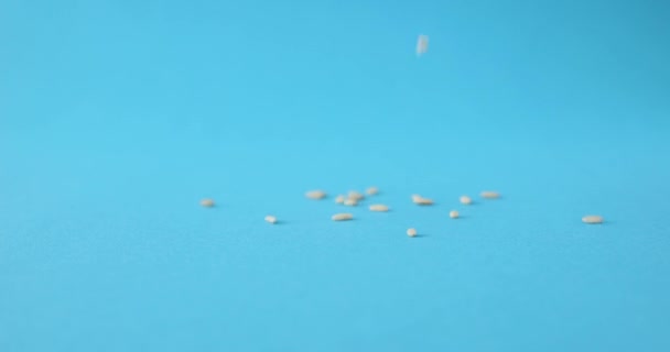 用蓝色背景包裹掉下的稻种 部分煮熟的米和煮熟的米 — 图库视频影像