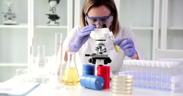 Tıp Bilimci Teknisyen Test Tüpü Idrarına Serum Plazmasına Bakar Hastane — Stok video