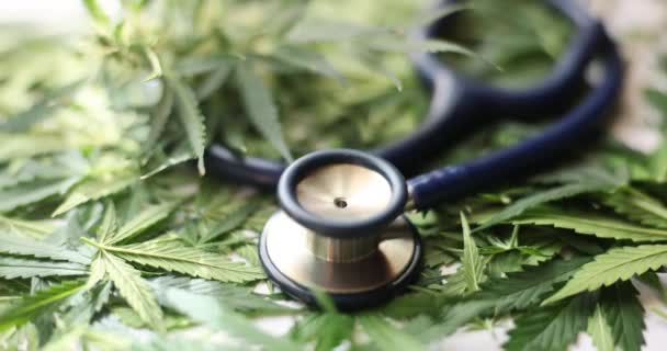 Medicinskt Stetoskop Ligger Gröna Marijuanablad Närbild Hampa Eller Cannabis Och — Stockvideo