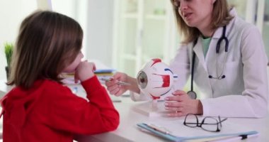Oftalmolog doktor çocuk ve klinikte göz anatomisini gösteriyor. Çocuklarda görsel keskinlik