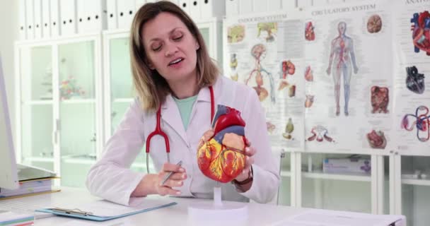 Anatomiemodell Des Menschlichen Herzens Den Händen Des Arztes Kardiologische Beratung — Stockvideo