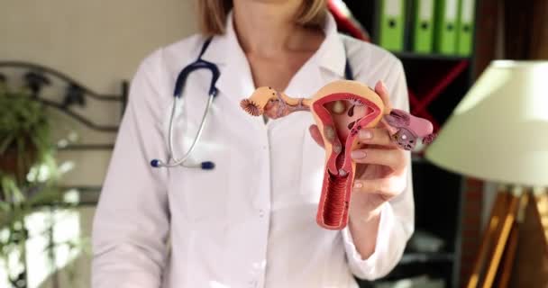 Woman Holds Anatomical Model Female Genital Organ Thumbs Doing Excellent — Stock Video