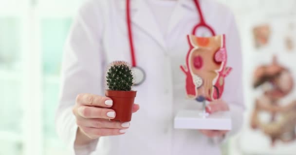 Woman Doctor Holds Tiny Cactus Sharp Thorns Pot Model Affected — Stock Video