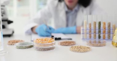 Genç bilimadamı, laboratuardaki tohum ve tahıllı petri kablarını inceliyor. Laboratuvar asistanı iş yerinde deney yapar ve çiftçi için notlar alır.