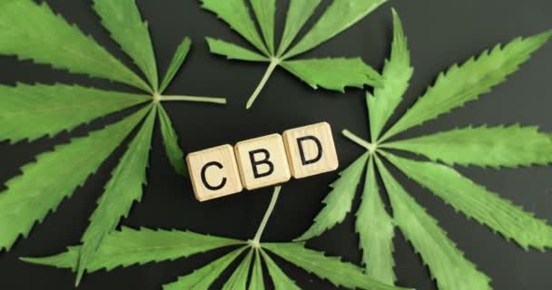 Γράμματα Cbd Κατασκευασμένα Από Ξύλινους Κύβους Και Πράσινα Φύλλα Μαριχουάνας — Αρχείο Βίντεο