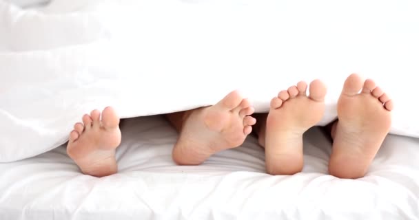 Kadın Ayağı Beyaz Battaniyenin Altında Erkeğin Bacağına Dokunur Koca Karısının — Stok video
