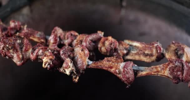 Cozinhar Shashlik Espetos Sobre Churrasqueira Fogão Aberto Comida Deliciosa Suculenta — Vídeo de Stock