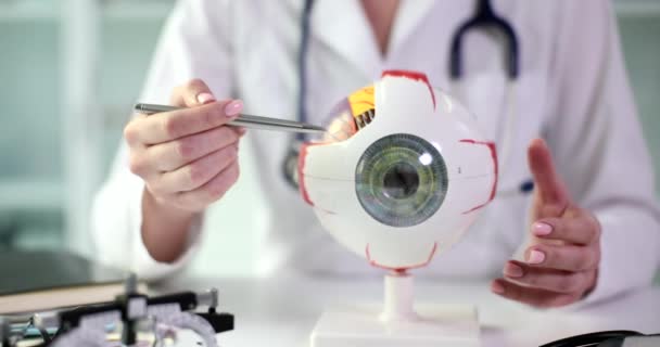 眼科医生把笔指给坐在桌旁的人造眼球模型看 妇女在临床慢动作中解释人的眼睛结构 — 图库视频影像