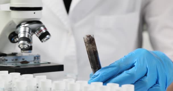 ゴム手袋の化学者は 実験室のオフィスの職場で顕微鏡の横に黒い土と試験管を保持しています 実験室の装置の遅い動きの実験 — ストック動画