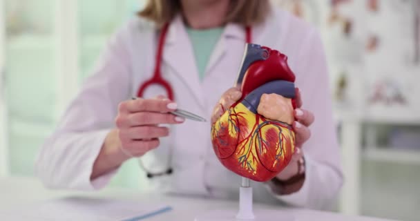 女性の仕事の制服は 人間の心臓のペンを指しての人工モデルを検討します 体のゆっくりとした動きの構造を研究するためのヒト臓器の詳細構造 — ストック動画