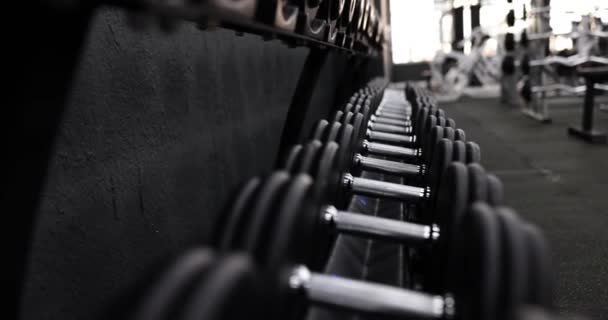 Rangée Haltères Sombres Pour Pomper Les Muscles Dans Salle Gym — Video