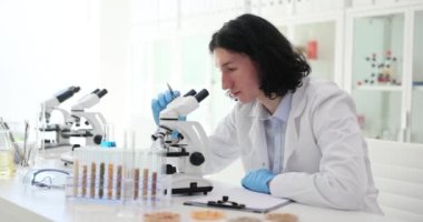 Bilim adamı laboratuvar asistanı mısır gevreklerinin kalitesini mikroskop altında kontrol ediyor. Farklı dozda gübre ve tahıl için mısır.
