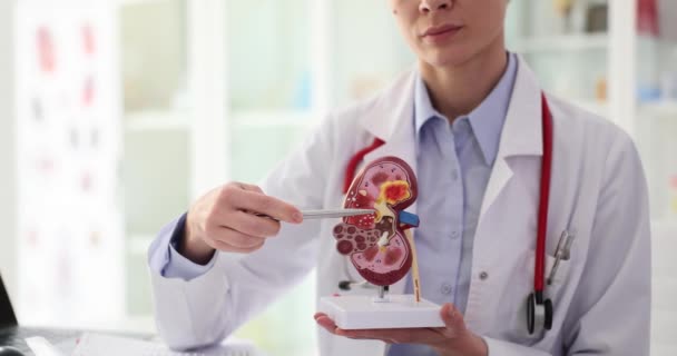 Urologia Tratamento Doenças Renais Closeup Causas Dor Renal Diagnóstico Tratamento — Vídeo de Stock