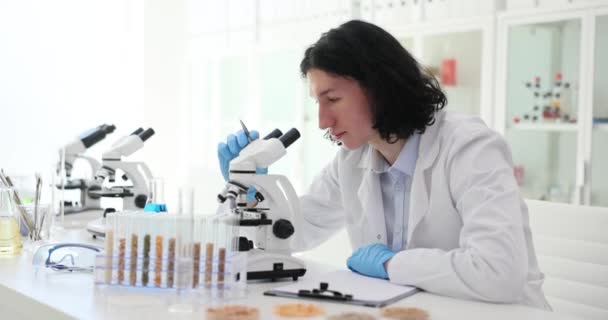 Vědec Laboratorní Asistent Kontroluje Kvalitu Obilovin Pod Mikroskopem Kukuřice Zrna — Stock video