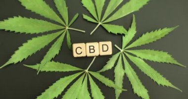 CBD marihuana akıl sağlığı araştırması ve sonuçları. Kenevir bitkilerindeki kenevir içeriğini etkileyen faktörler