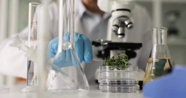 Laboratorio Extracción Aceite Cbd Con Flor Seca Bajo Microscopio Para — Vídeos de Stock