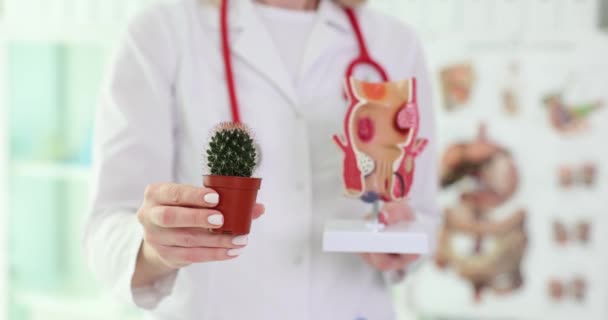 Arzt Zeigt Modell Von Dekorativem Kaktus Und Weiblichen Fortpflanzungsorganen Klinik — Stockvideo
