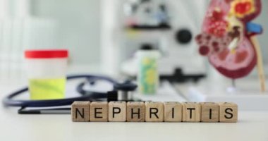 Böbrek ve idrarlı konteynırın anatomik modeline karşı nefrit küpleri. Klinikte böbrek hastalıklarının üroloji ve tedavisi