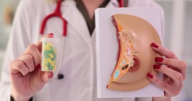 Yaygın fibrokistik mastopati tedavisi. Doktor jinekoloğun elinde kadın göğüs anatomisi ve tıbbi ilaçlar var.