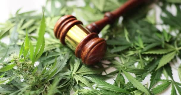Gavel Soudce Leží Zelených Listech Marihuany Detailní Záběr Rozsudek Nelegální — Stock video