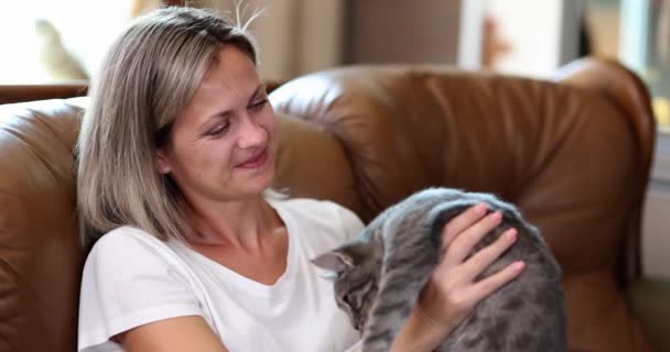 Evdeki Kanepede Oturan Gri Kedili Kadın Zevk Evcil Hayvan Bakımı — Stok video