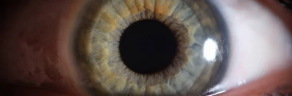 Occhio Persona Con Belle Tonalità Grigio Verde Macro Iperopia Miopia — Foto Stock