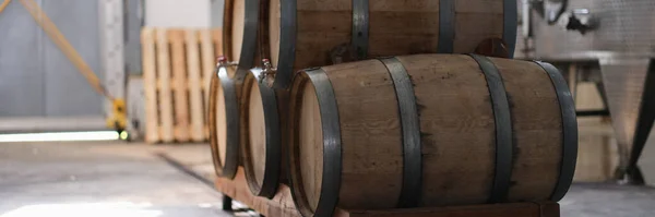 Winery Cognac Factory Steel Fermentation Tanks Wooden Barrels Aging Process — Foto Stock