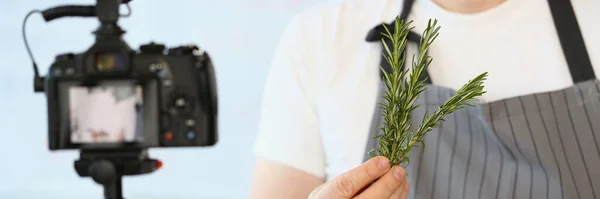 Cook Blogger Holds Green Rosemary Hands Rosemary Medicinal Properties Healthy — Stok fotoğraf
