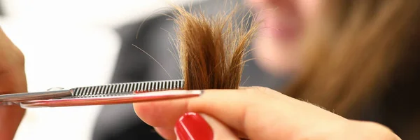 切れ毛ははさみを閉じて終了し 美容師ははさみで茶色の髪をカットします 髪の毛を閉じて それらの分割端を取り除く — ストック写真