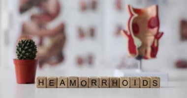 Hemoroit, rektal model ve saksı kaktüsü. Alt rektumdaki vasküler yapılar ve akut ağrı kavramı