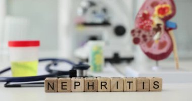 Yeşim kelimesine karşı anatomik böbrek modeli ve bir kutu idrar. Farklı etiyogenetik yapıya sahip bir grup iltihaplı böbrek hastalığı.
