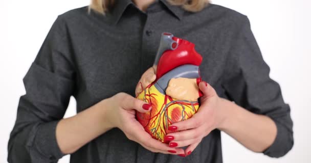 Woman Hand Holds Model Human Heart Body Diagnostics Cardiovascular Diseases — Stock Video