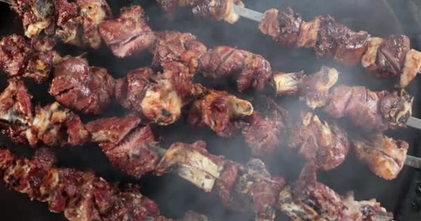 Cooking Skewers Meat Ribs Barbecue Closeup Meat Kebabs Barbecue Picnic — Stock Video