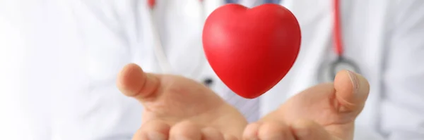 Cardiologul Sau Terapeutul Deține Inimă Mică Aer Asigurări Medicale Sau — Fotografie, imagine de stoc