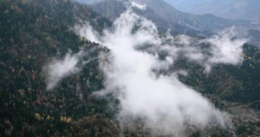 Thick fog moving through forest in mountains. Beautiful mountain landscape in Georgia