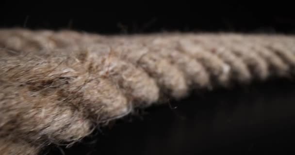 黒の背景に茶色のロープのコイル ポリアミド編組ロープ — ストック動画