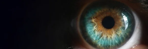 Nahaufnahme Eines Grünen Menschlichen Auges Bei Schwachem Licht Hyperopie Kurzsichtigkeit — Stockfoto