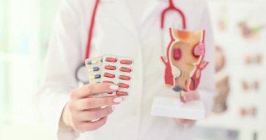The doctor holds pills and anatomical model of the anus. Hemorrhoid treatment, conceptual medicine