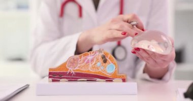 Doktor dişi göğsünün implantını tutuyor, yakın plan. Meme bakımı, meme bezinin korunması.