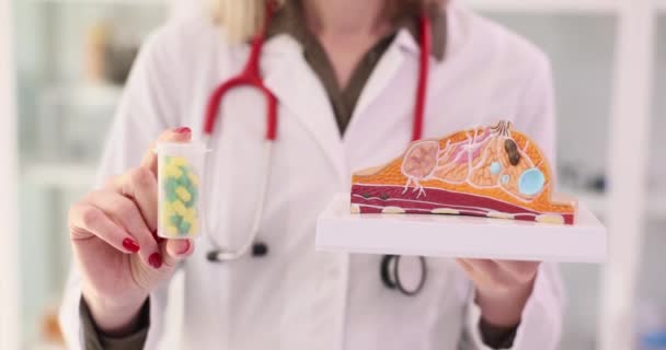 의사는 여성의 타블렛의 해부학적 모델을 가지고 유방암 — 비디오