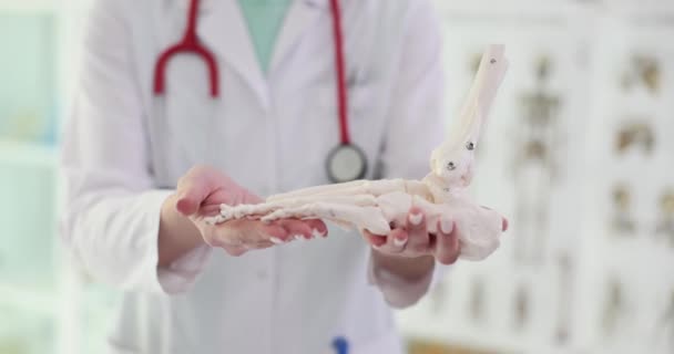医者は人間の足の骨格の一部を持っています クローズアップ 骨損傷 関節疾患 スローモーション — ストック動画