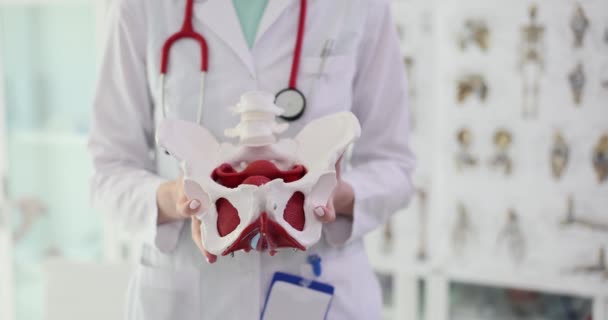 医者は人間の骨盤の骨格の一部を持っています クローズアップ 関節痛 整形外科クリニック — ストック動画