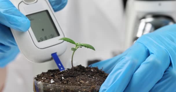 土壌の酸性度を確認するためのデバイスで手 クローズアップ ラクマス検査生化学的スローモーション — ストック動画