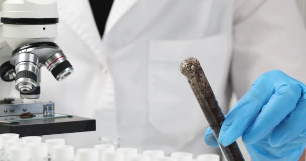 실험실에서 화학자는 실험용 튜브를 밀접하게 연결하여 보관하고 있습니다 화학적 분석을 — 비디오